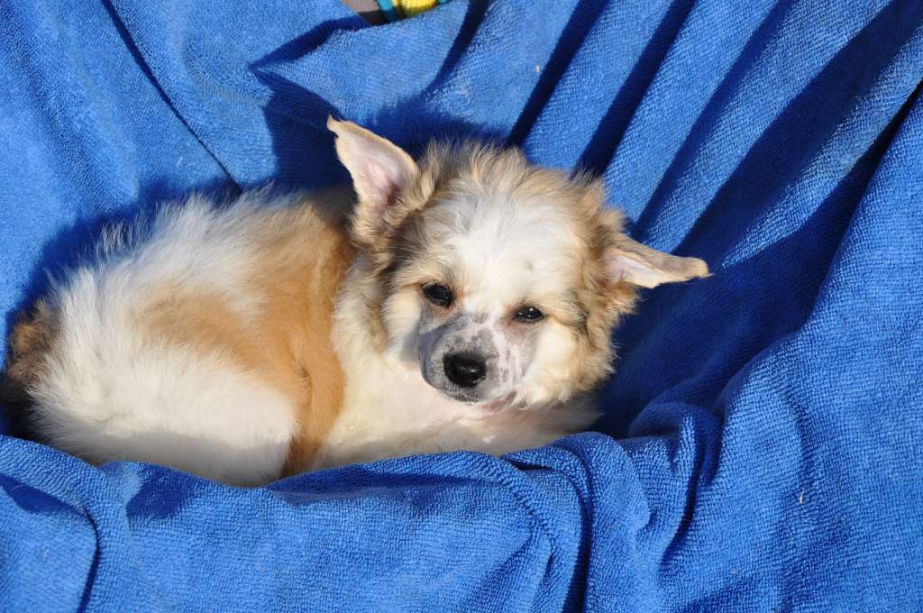 Impressive Timoty Winning Smile