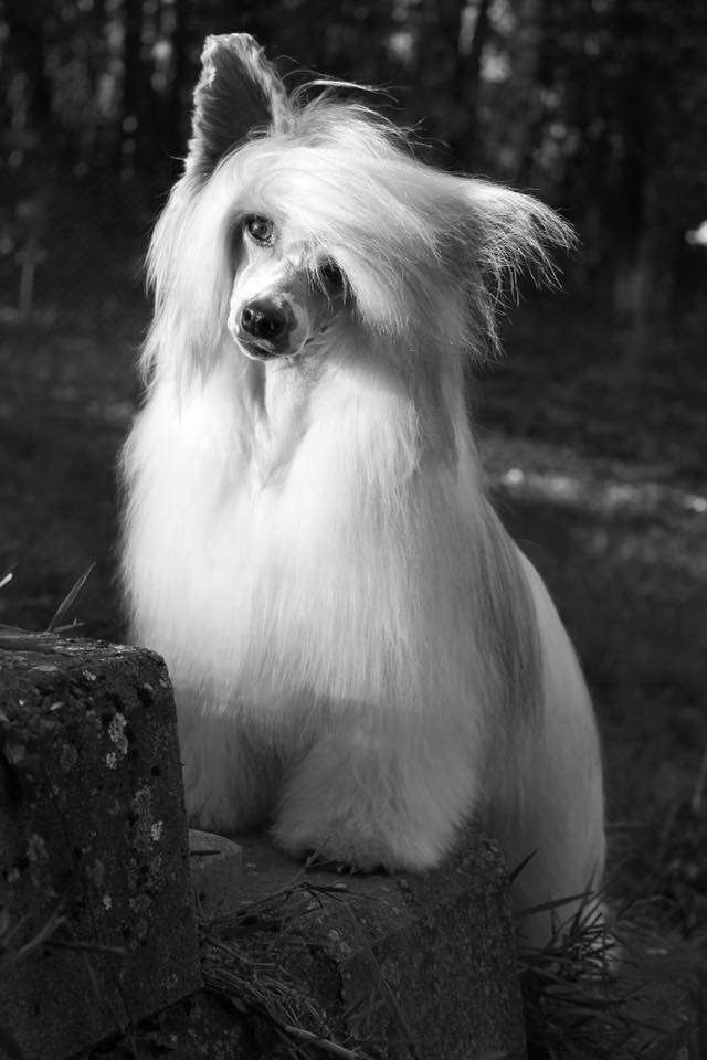 Blendverk's Fearless Mind