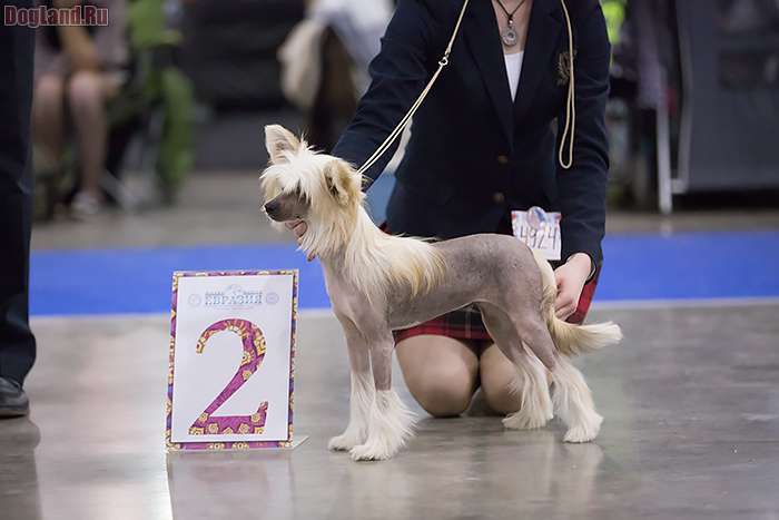 Irvina Vita Arwen Undomiel