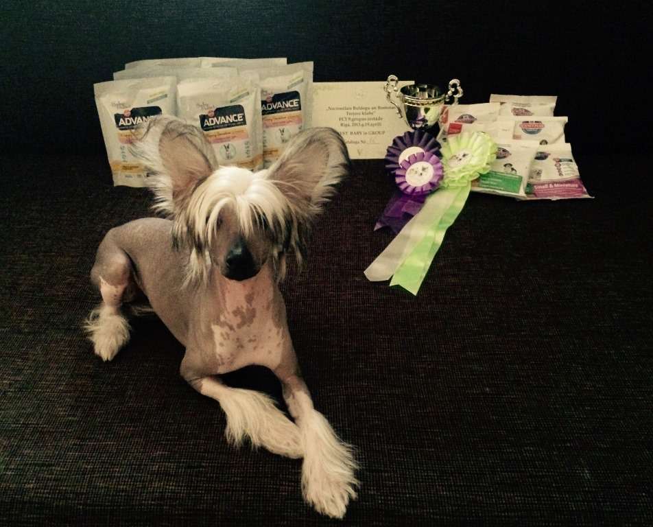 Capitain Love Ralph Cladary Triumph