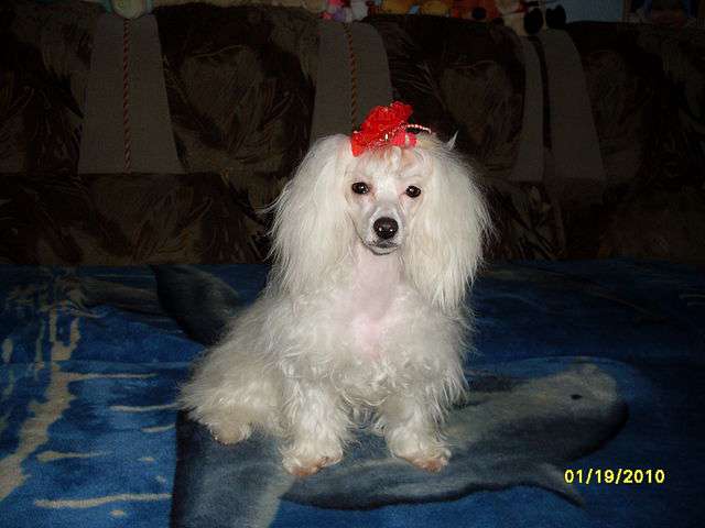 Klubnichnaya Konfetka