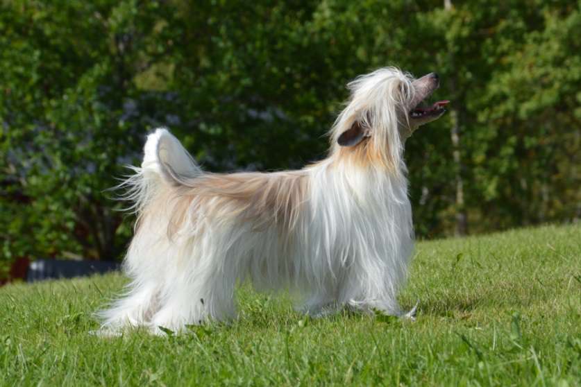 Kaitlin Hakuna Matata