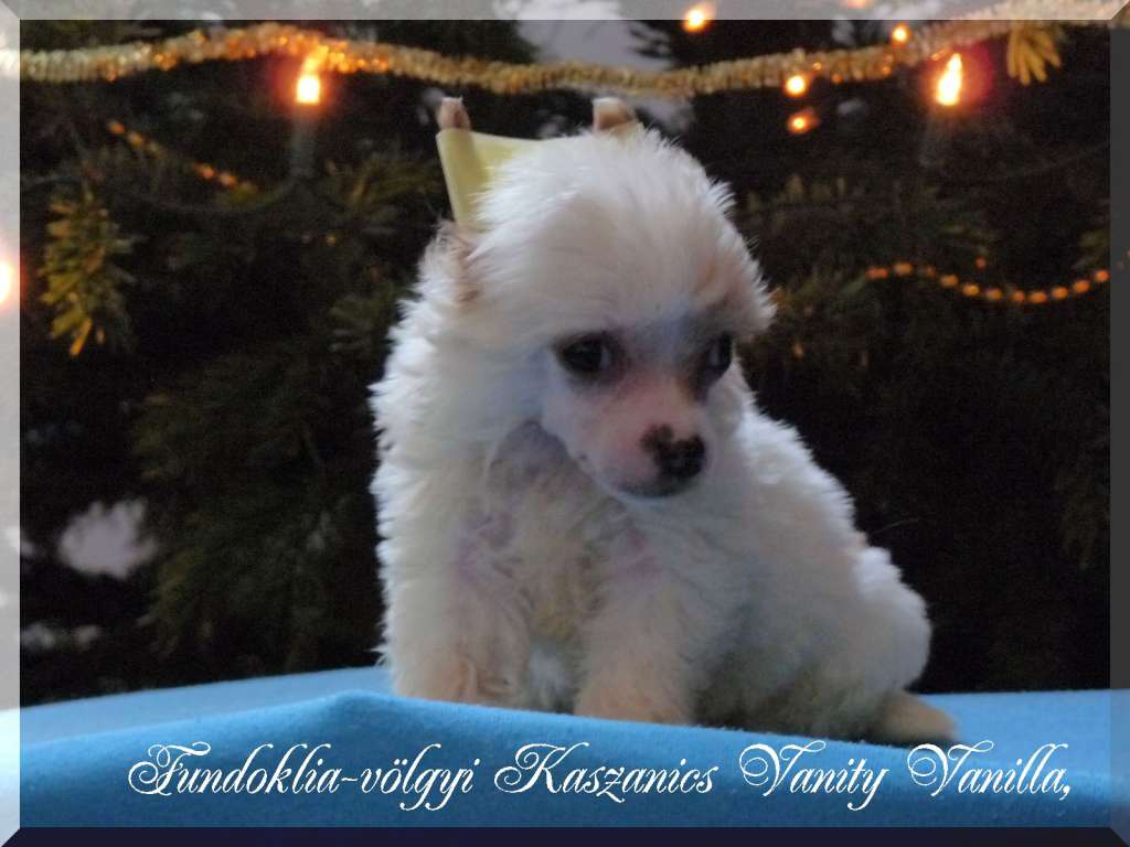 Fundoklia-völgyi Kaszanics Vanity Vanilla,