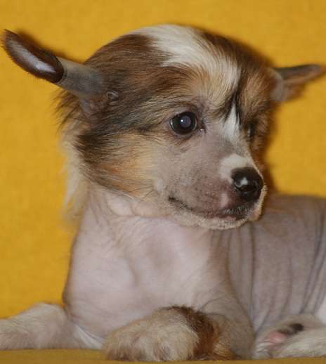 Secret Goraczka Sobotniej Nocy