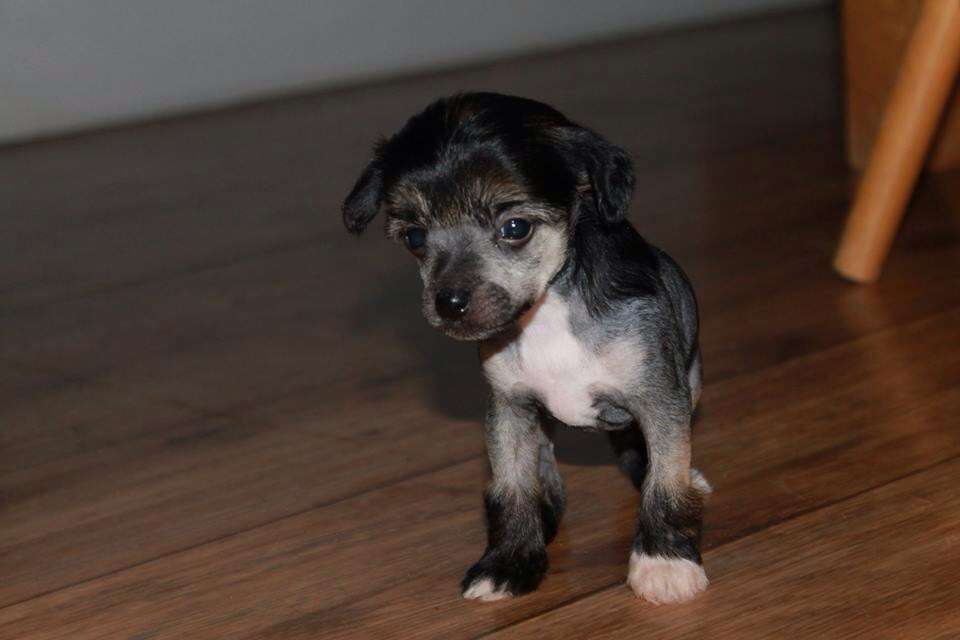 Ixtri's Catching Fire