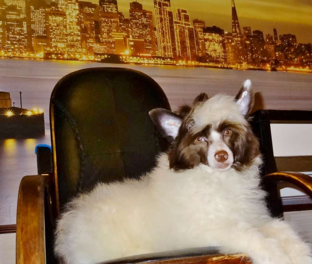 Millenium Pride Baís