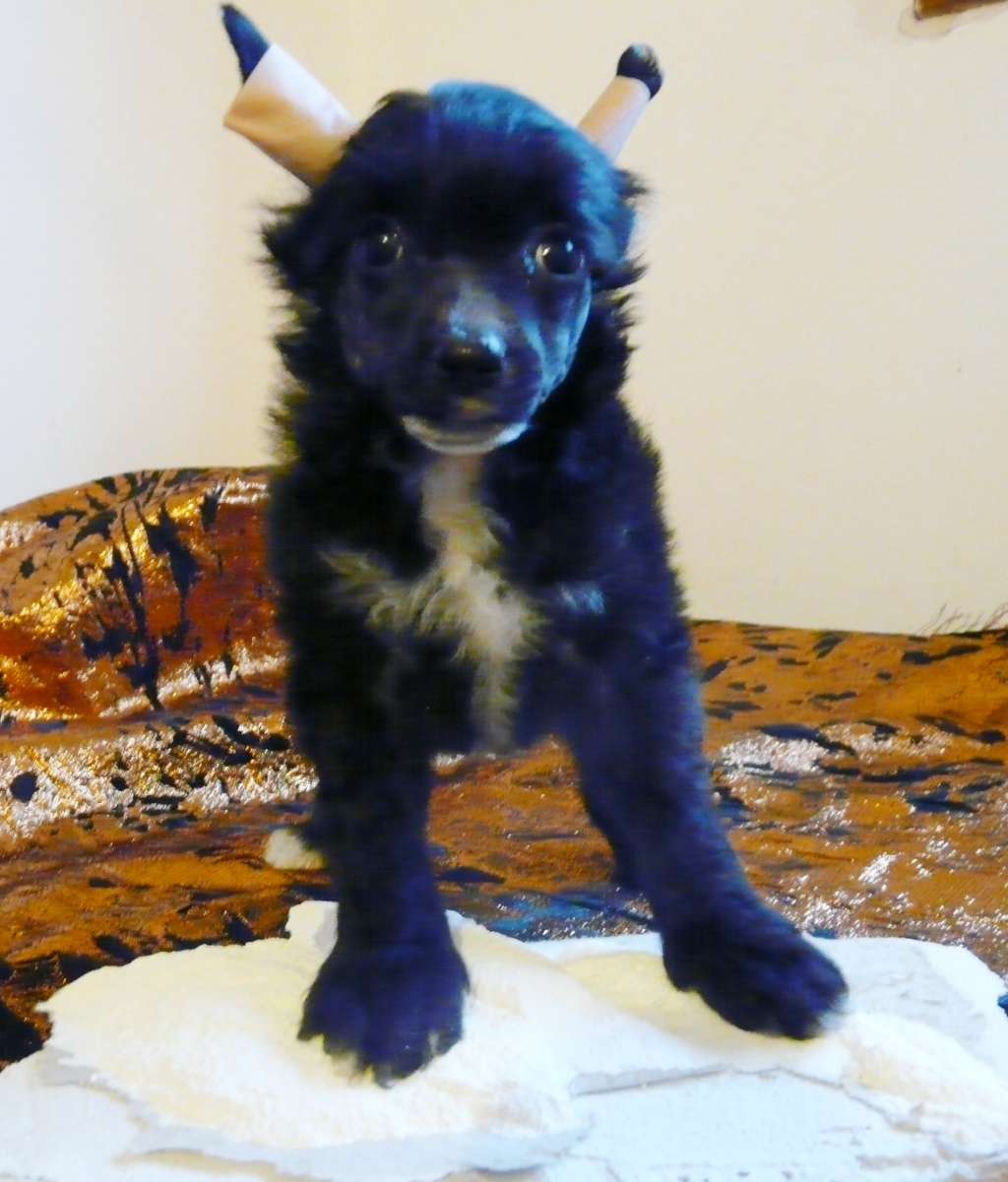 Krasotka Star Jacky Onasis