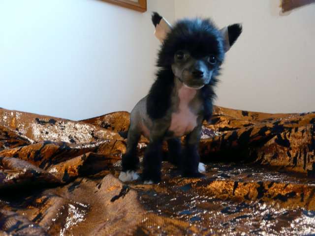 Krasotka Star Jennifer Lopez