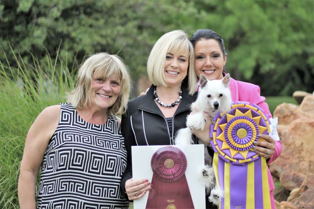 GCHS Sunlit's Misty Mountain Hop