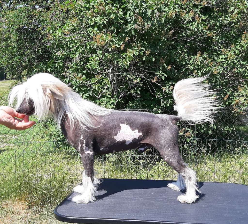 Beachcrest Bruce Willis