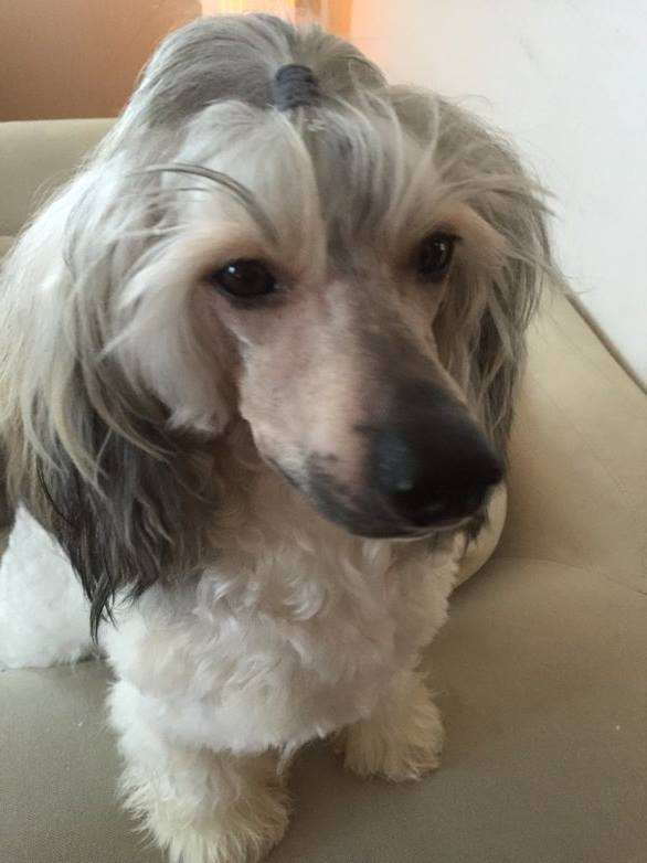 Beachcrest John Wayne