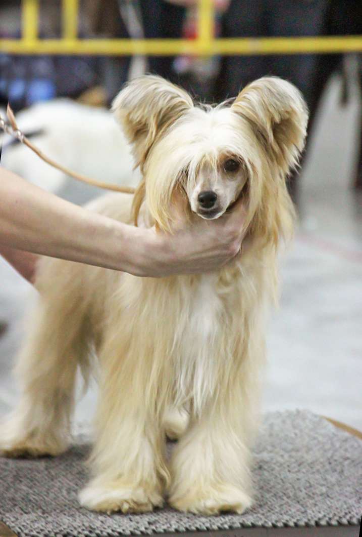 Infinity Charm for Oro Antenati