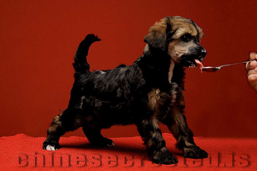 Practical Hero Restless Lover