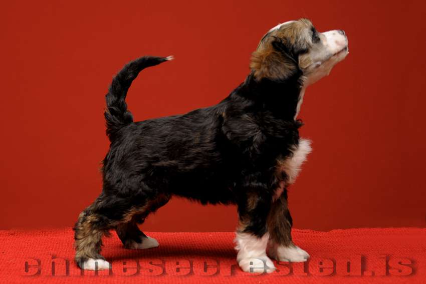 Practical Hero Ready For Romance