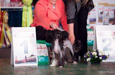 Premier Mari Jacqueline