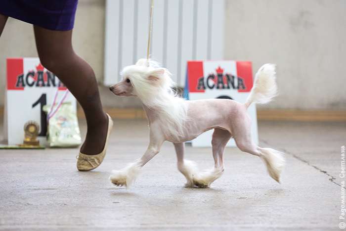 Dream Space Milky Way