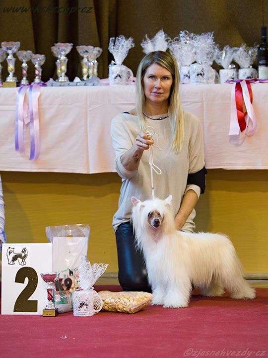 Catty z Valdorfskych lesu