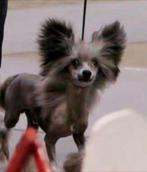 Six Gems Fast N Furious