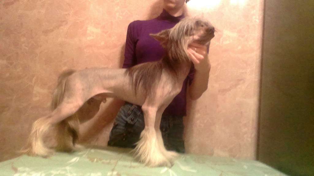 Gran Amigo Darian Dias