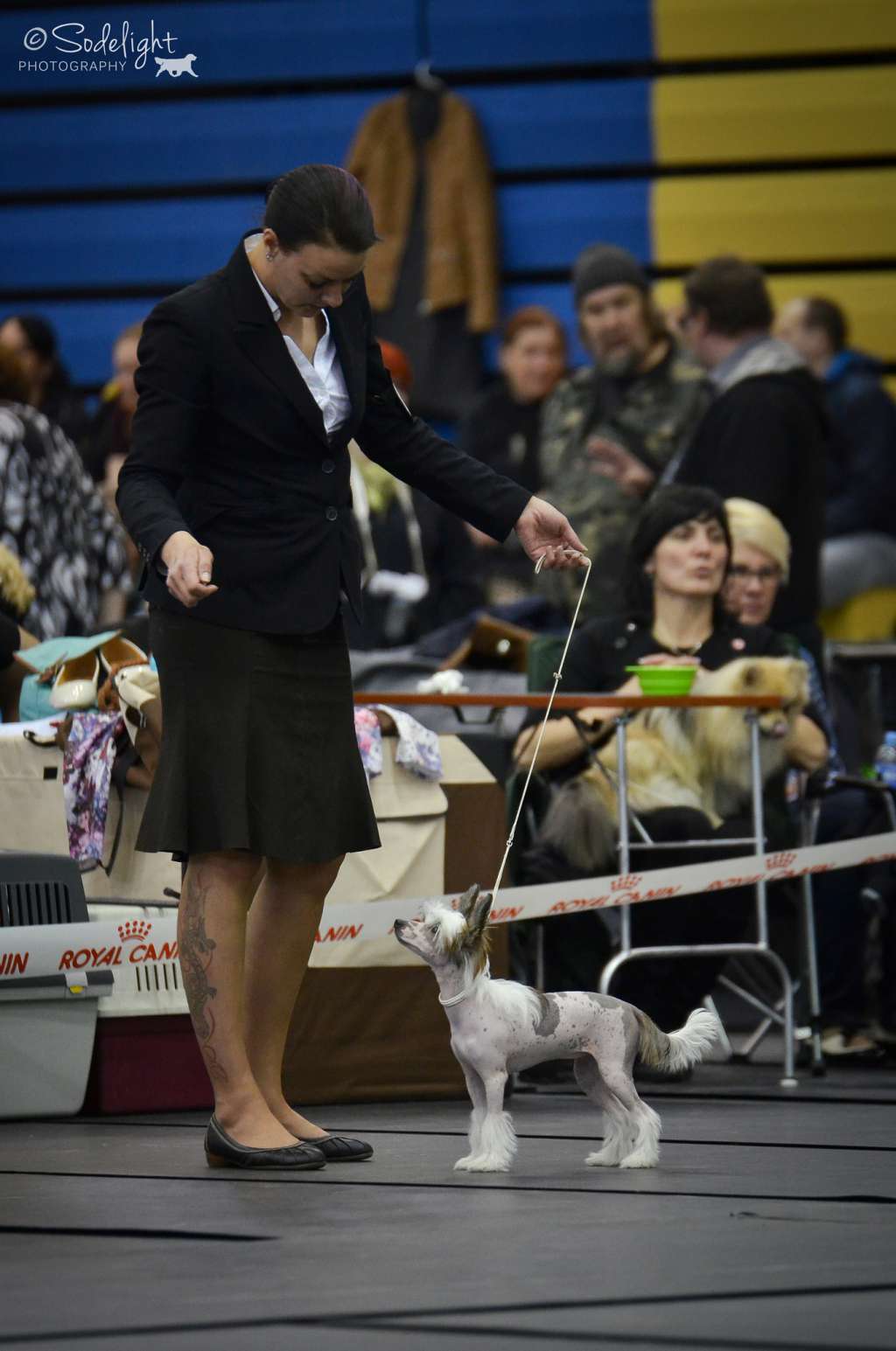 Crestiny's Heatseeker