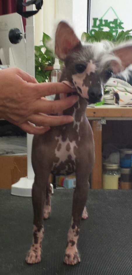 Kenalary Siam The Road Goes On 4Ever