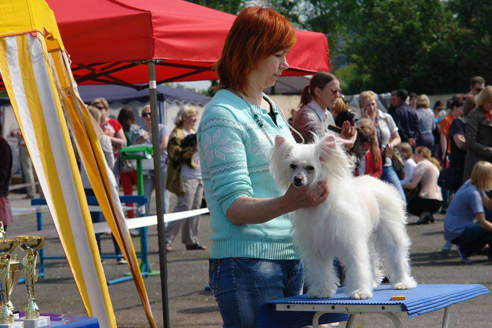 Intriga Iz Vanill''nyh Snow