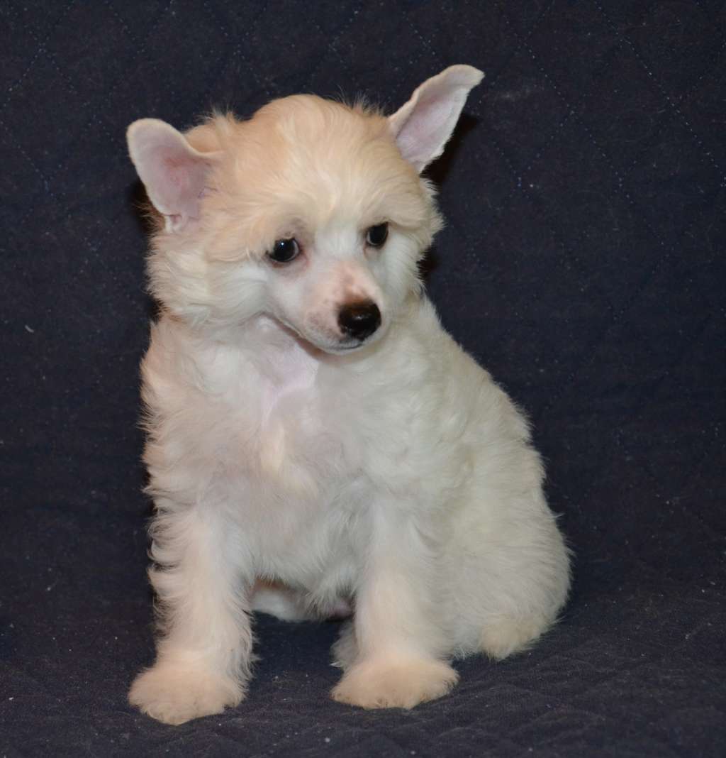 Aquamarine Magic Charm