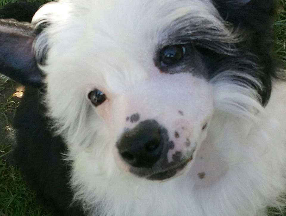 Grace Kelly z Andelovy dlane