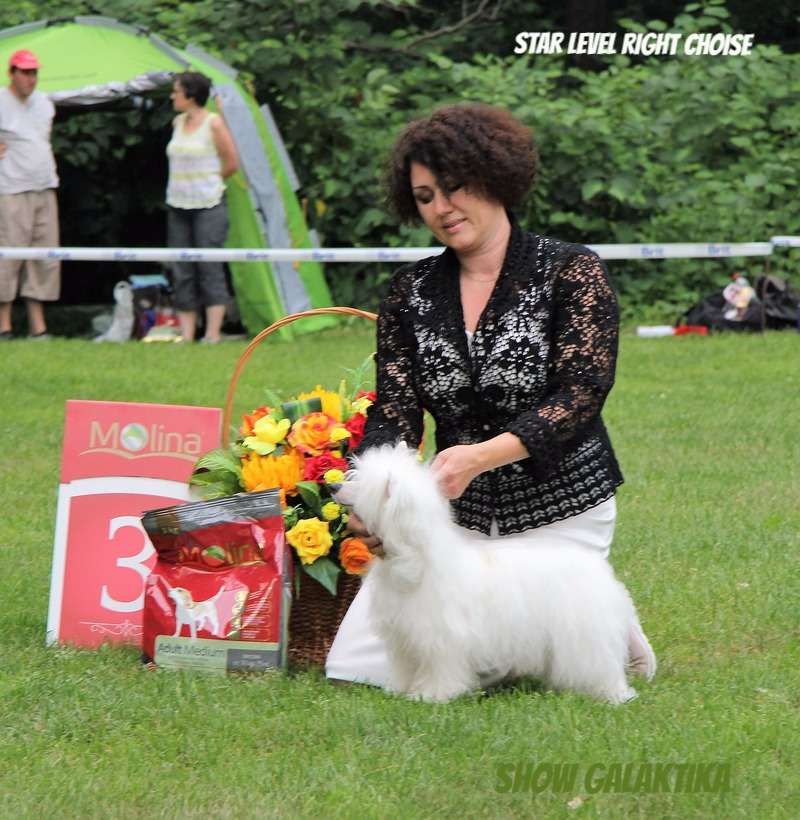 Star Level Right Choice