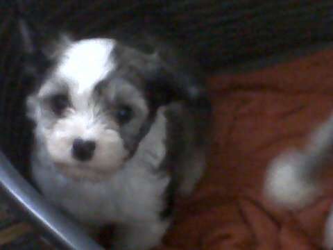 Arete Must A been Luv