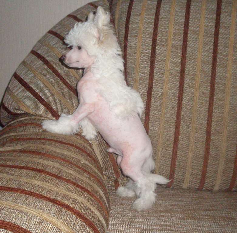 Pretty Boy Not Like All