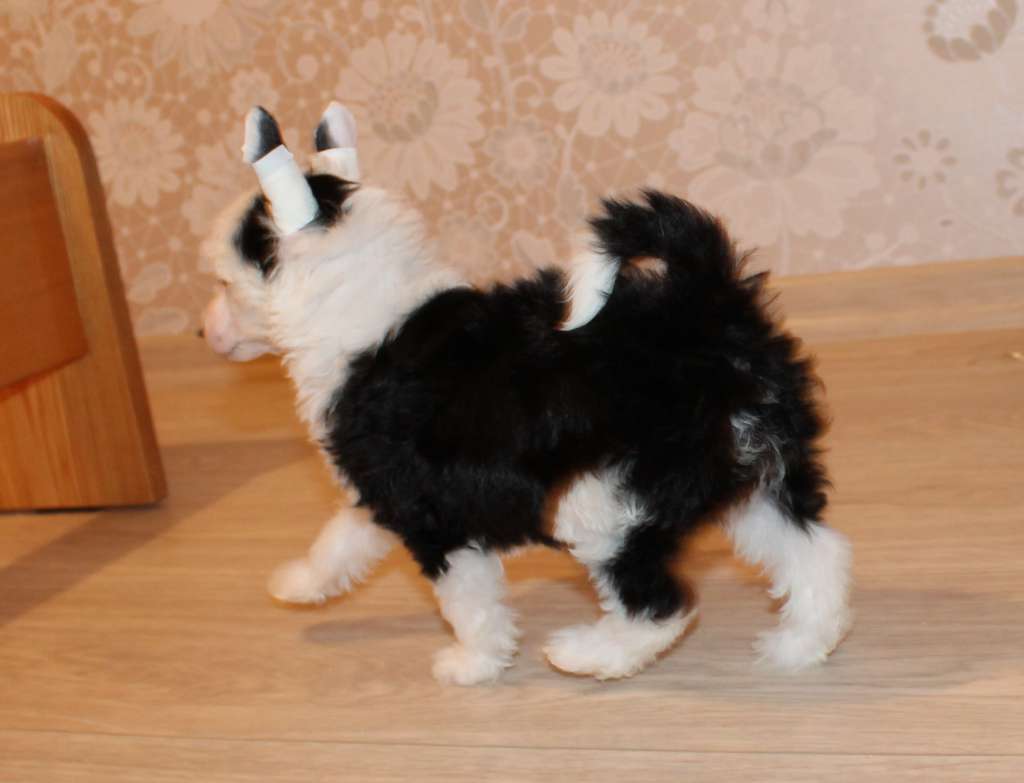 Magnet Success E....