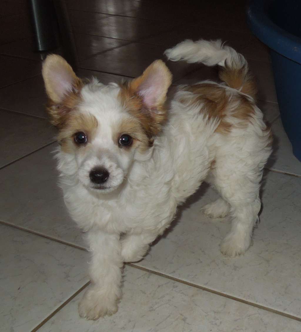 Jinger Du Domaine Forever Young