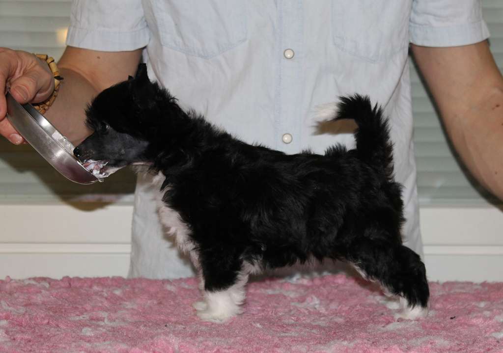 Arte Figure Keep Calm And