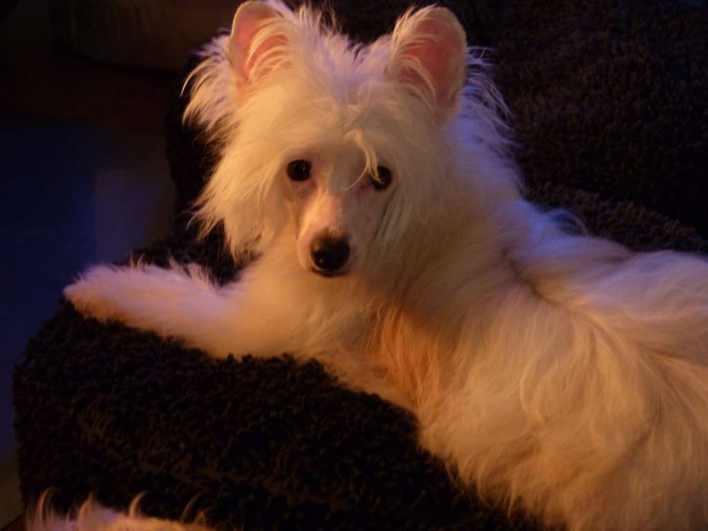 Emely von Dolce Diamante