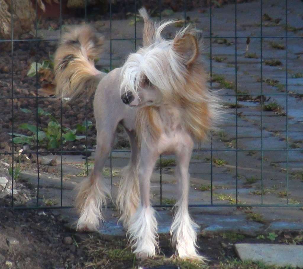 Thunderwing Had Hair Done for You