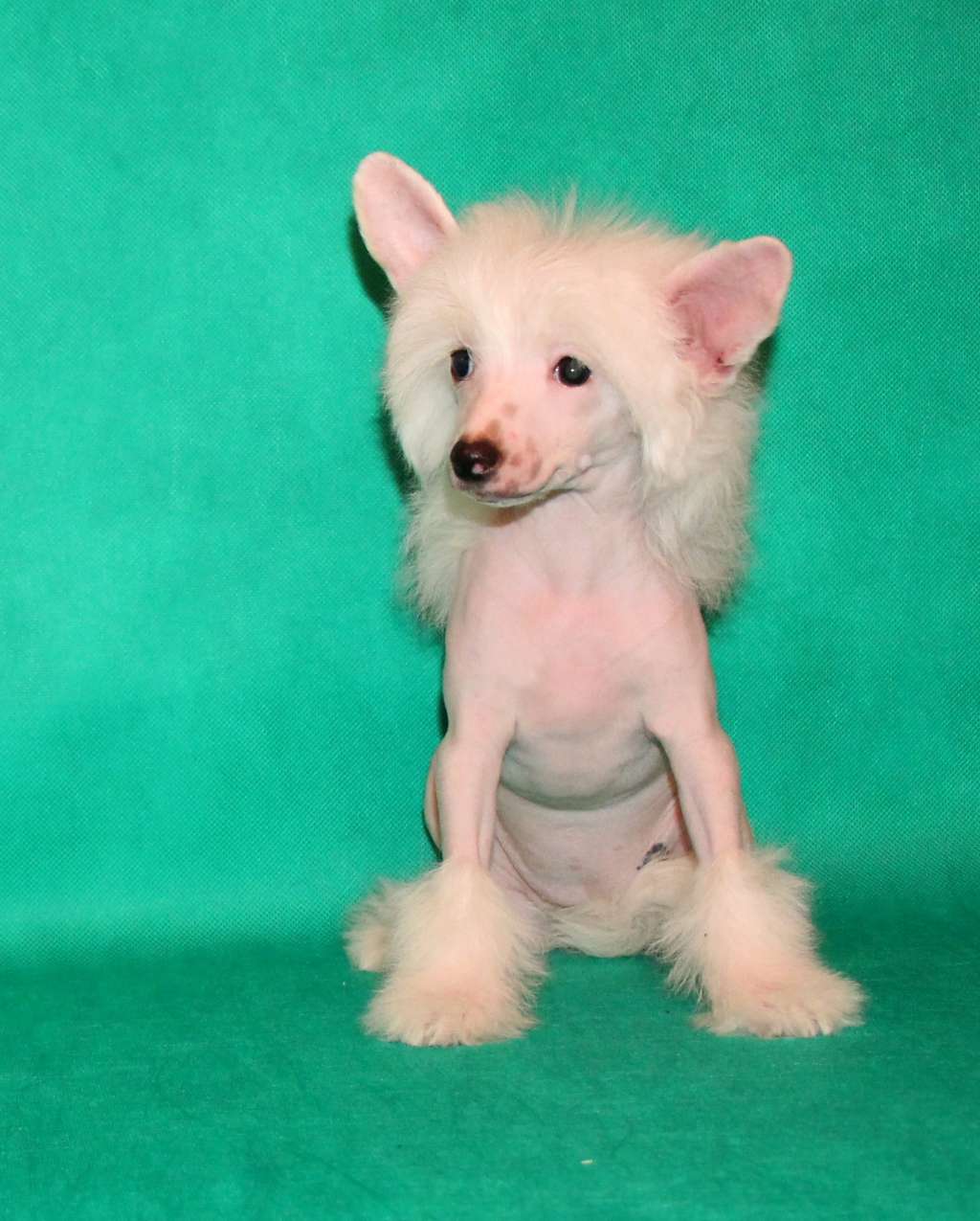 Galser Girona Costa Brava