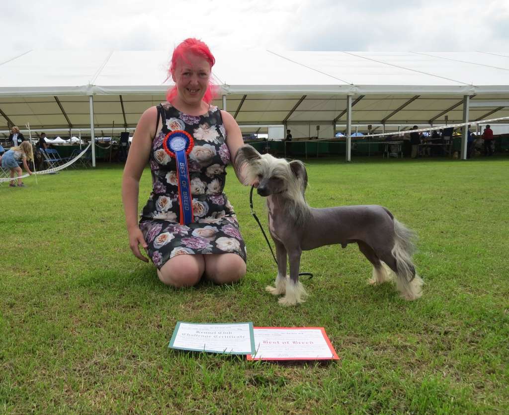 MULTI CH Myrtans Topnotch