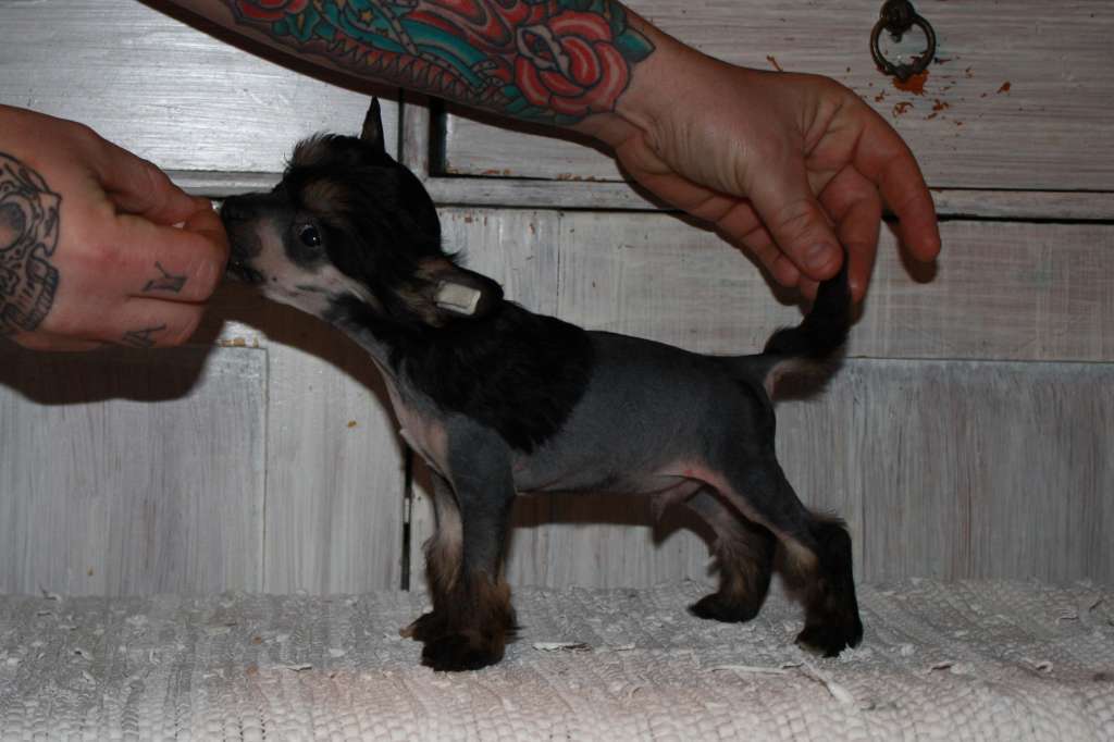 Love Bites Fear Of The Dark