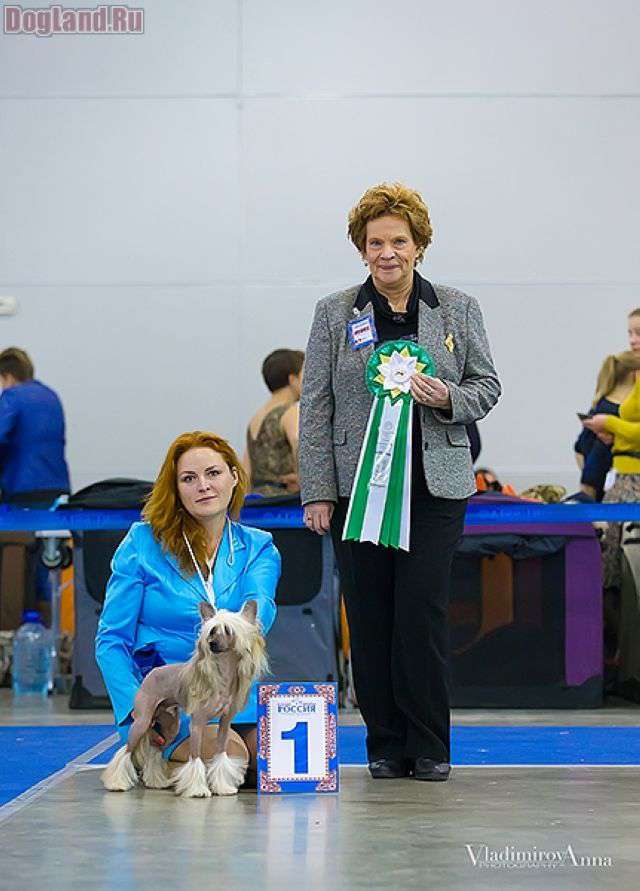 Ksolo Club Orange Wal-Mart