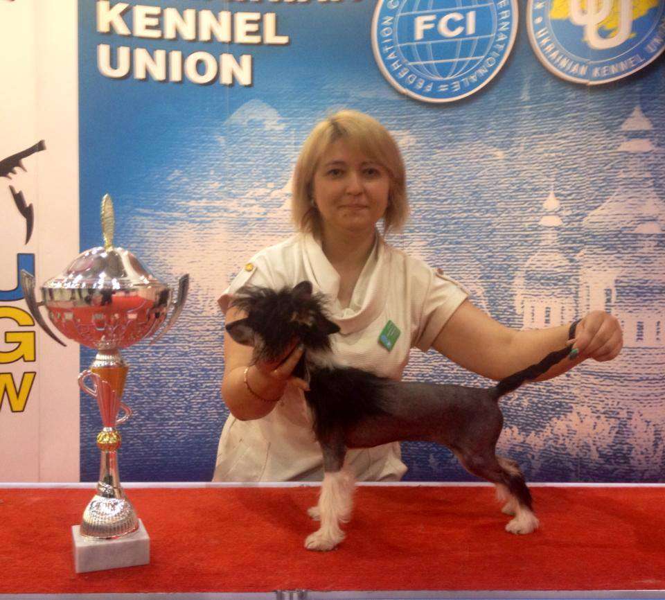 Egevichka Dneprovskoye Solntse