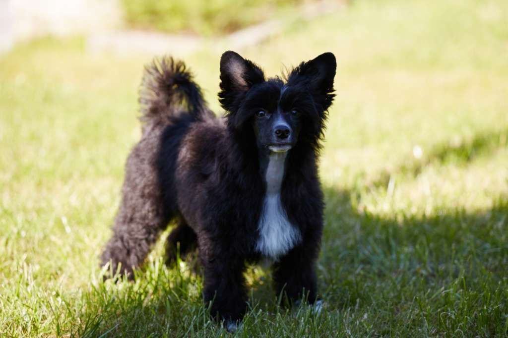 Tinted's Closer To The Stars