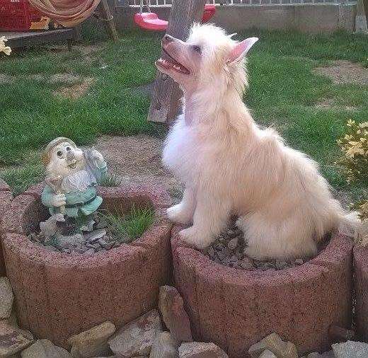 Felici Amici Cashmere