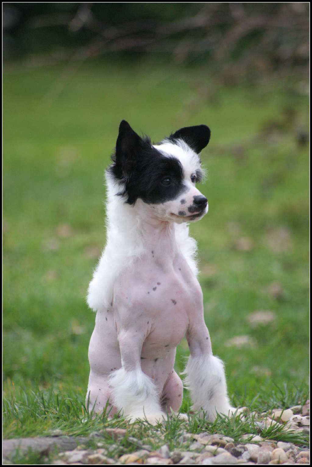 Lollita Lempika Du Coeur Des Tenebres