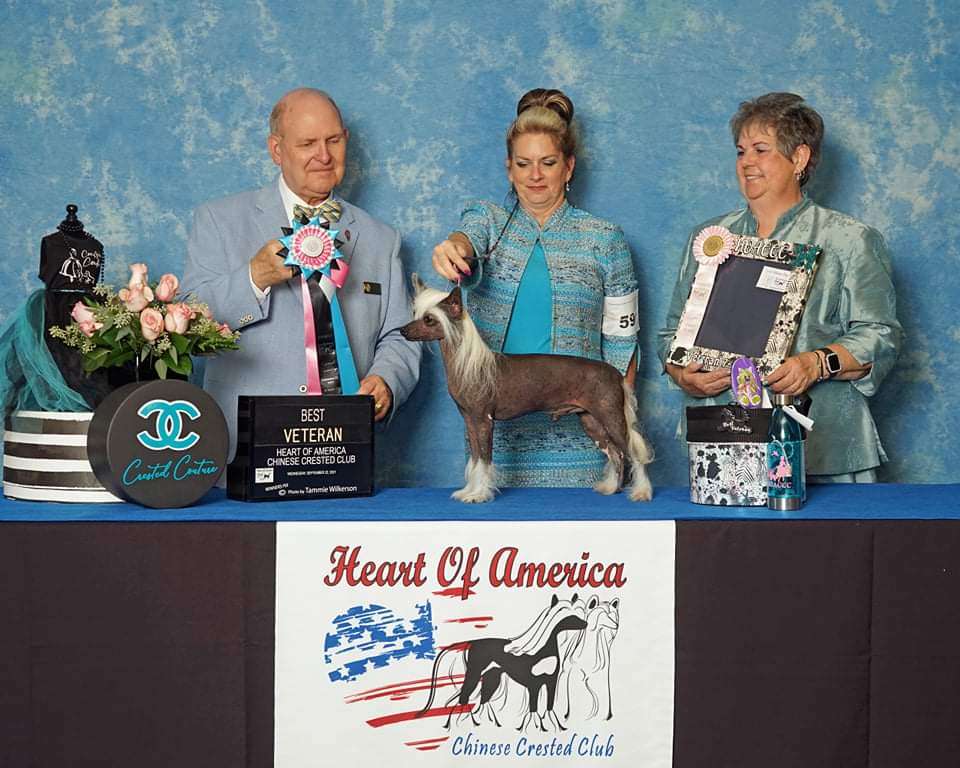 Kalypso Man Behind the Curtain SOM