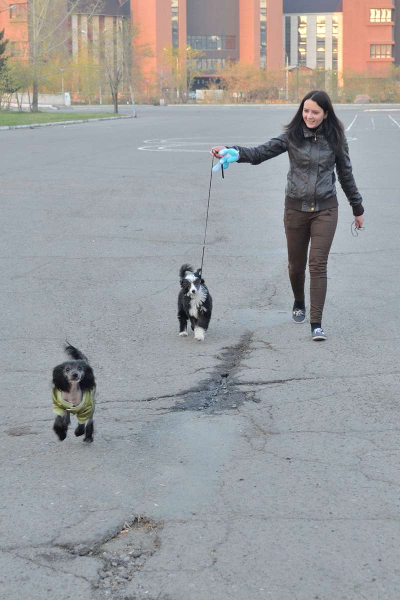 turbo vechnyy dvigatel'