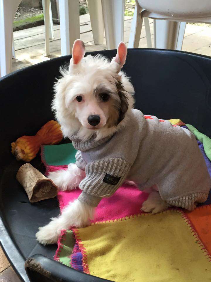 Dakota Rose Wish You Were Here