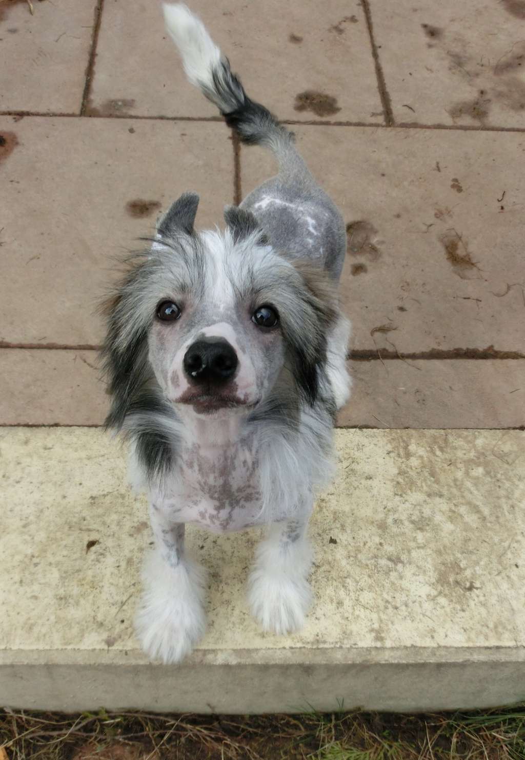 Twilight Diamonds Easy Going