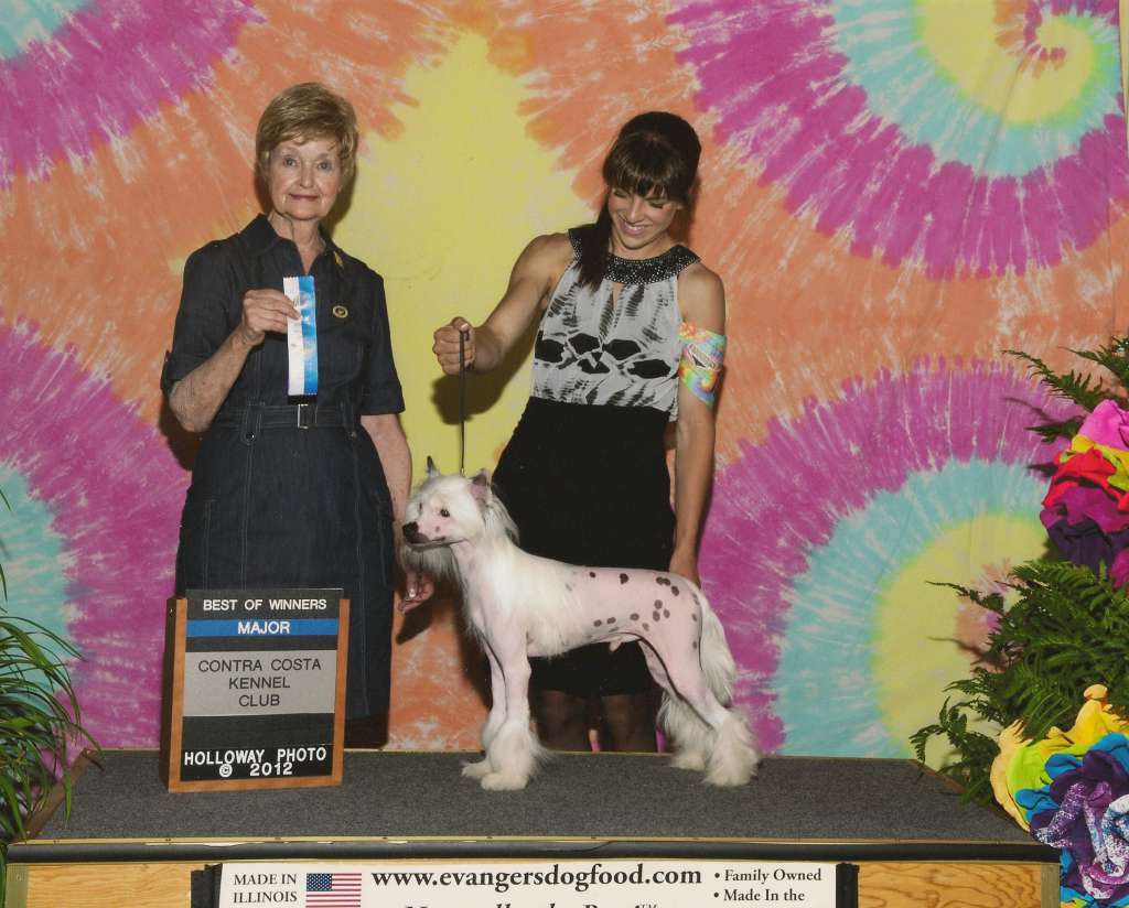 Whispering Lane Horse Feathers