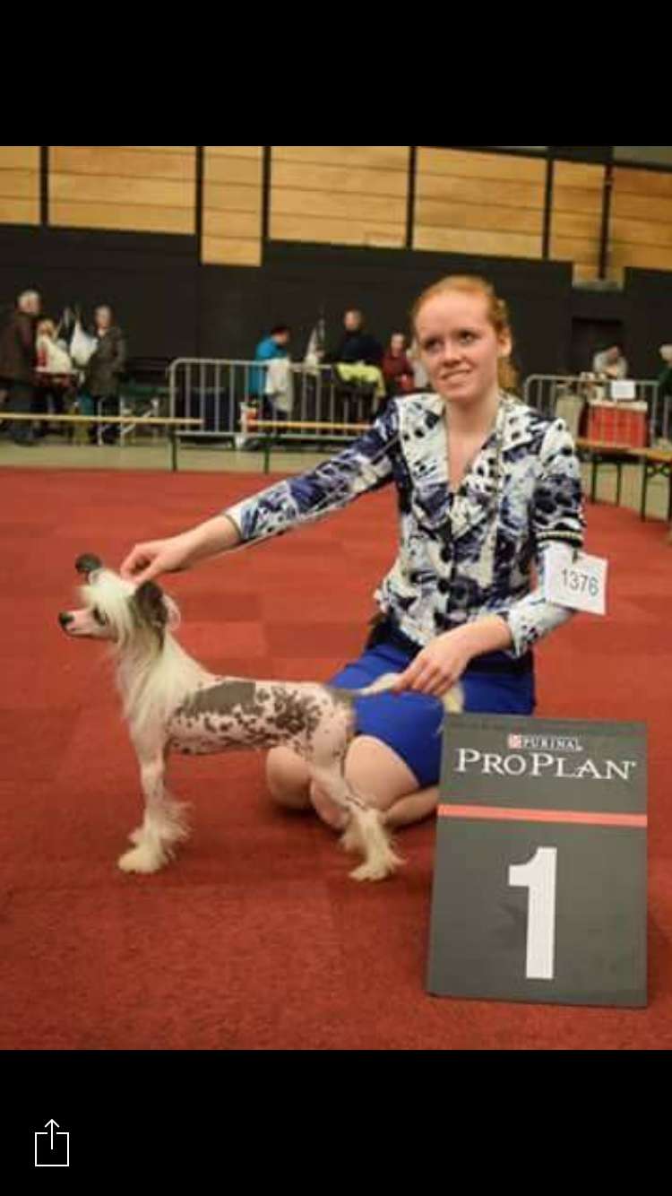 Crest'd Label Stop The Press